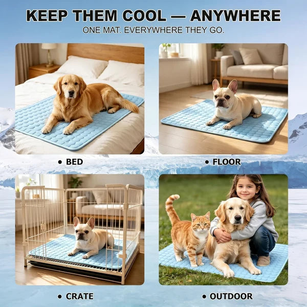 Frostbuddy™ - Self-Cooling Dog Mat 2.0