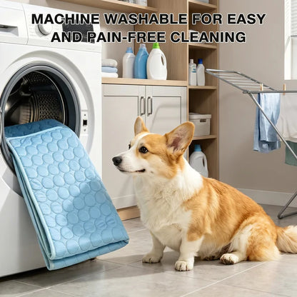 Frostbuddy™ - Self-Cooling Dog Mat 2.0