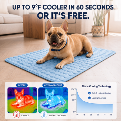 Frostbuddy™ - Self-Cooling Dog Mat 2.0